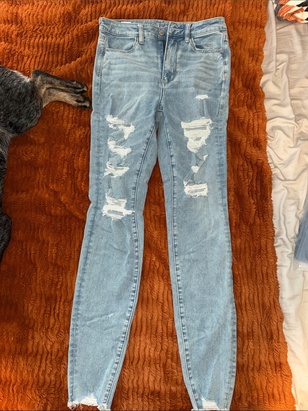 A&E super high rise jegging: 8XL
